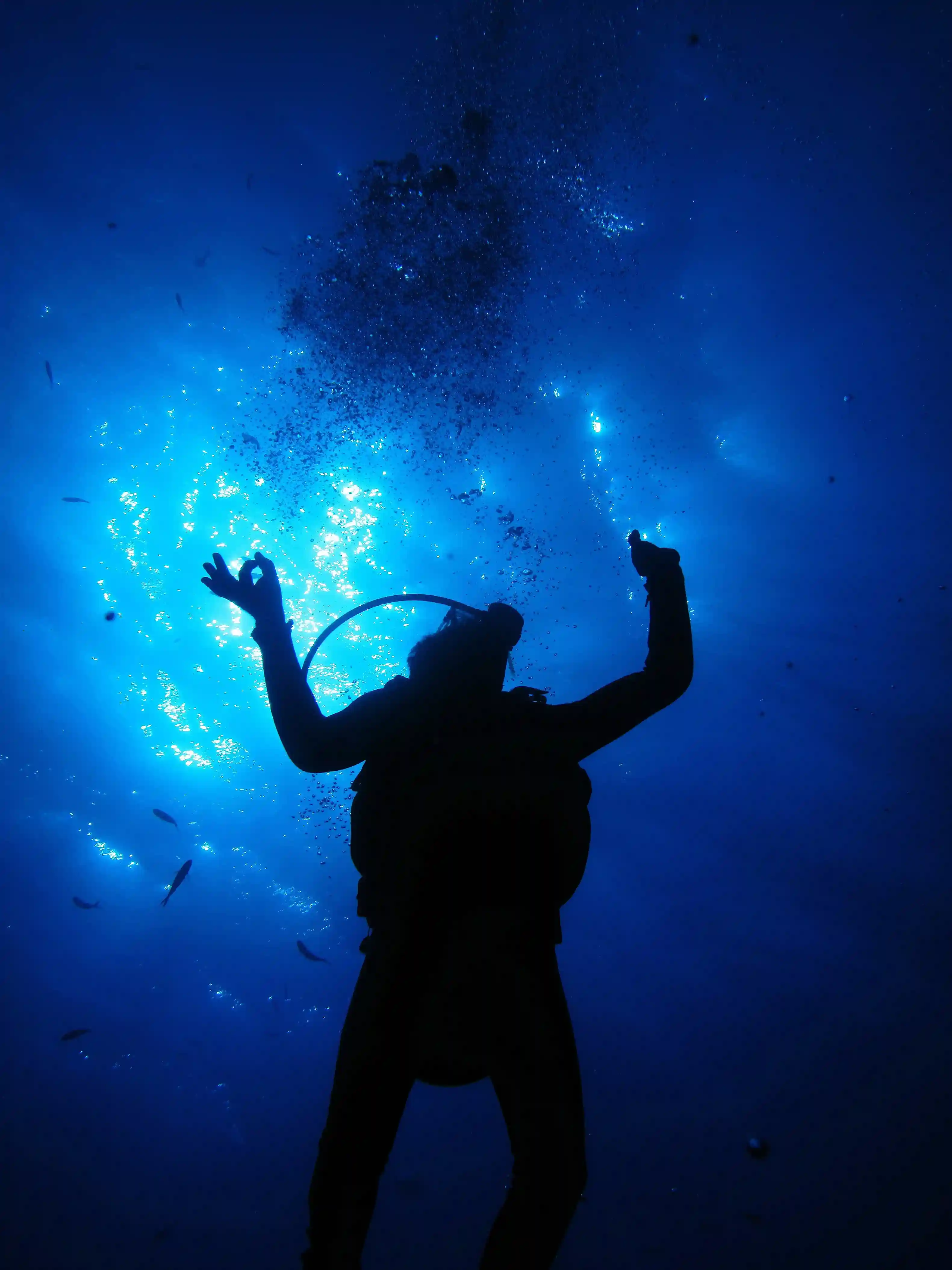 Orbexio Diving Center